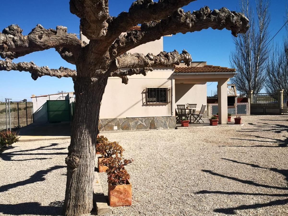 Casa Laura Vendégház Deltebre Kültér fotó